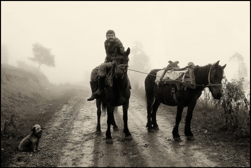 The Horseman