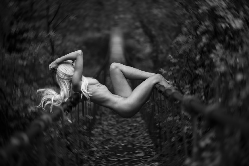 Circles
