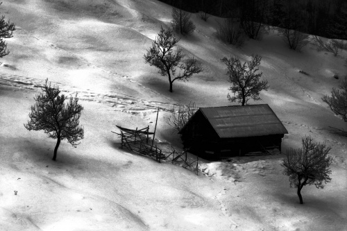 Winter evening