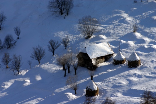 razvanbaleanu@yahoo.com