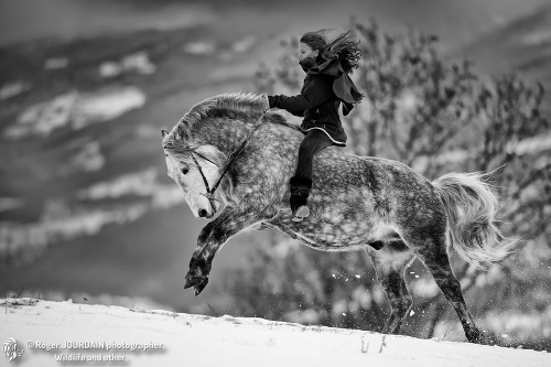 Freedom On Horseback