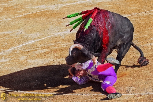 Mortal Fight