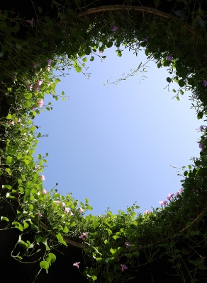 Sky window