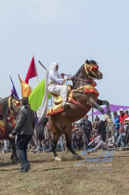 Sport Equestre (Fantasia)