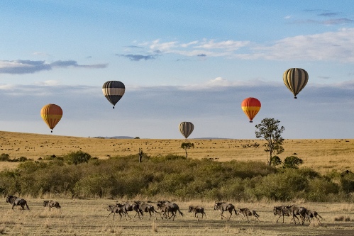 Maasai Mara