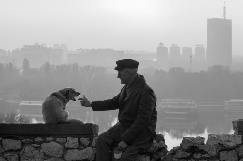 Kalemegdan 04