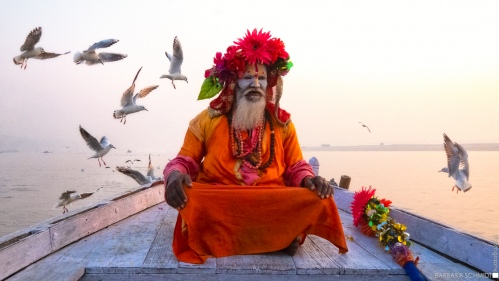Sadhu with birds
