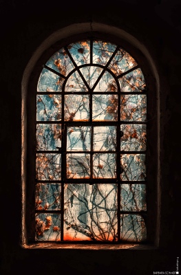 secret garden