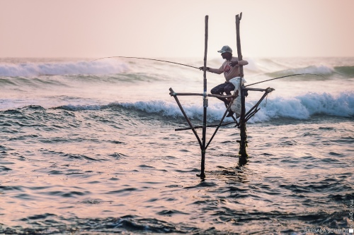 stilt fisher