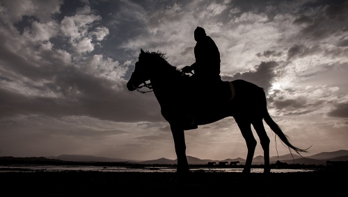 HORSE AND SKY
