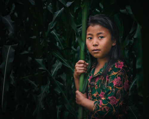 Corn Girl