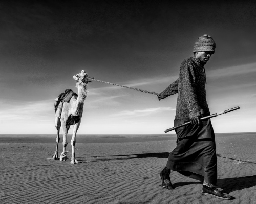 Herdsman