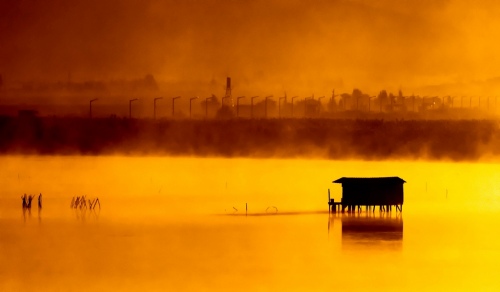 landscape