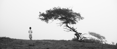 Boy & Tree