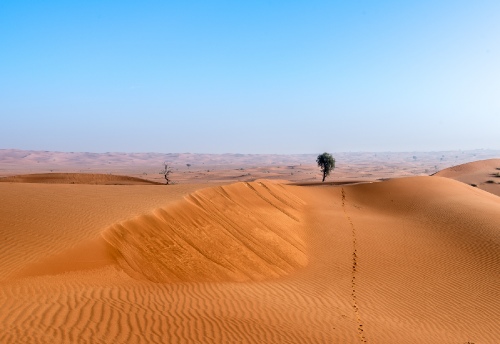 The long Walk
