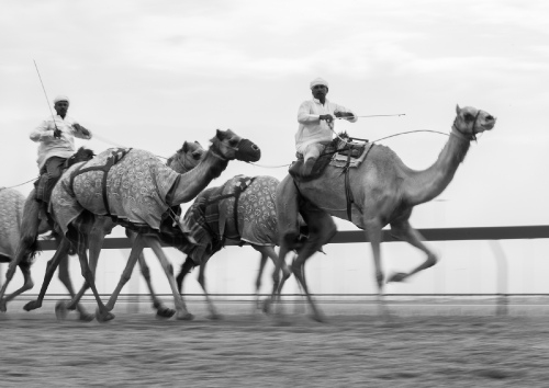 The Race 
