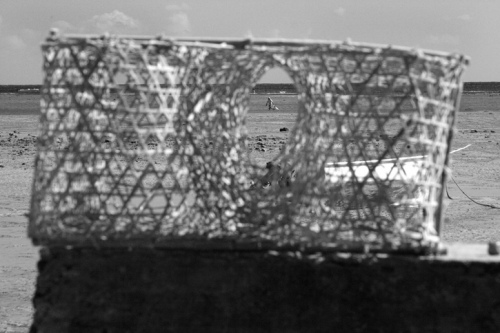 Bamboo Fish Trap, Rodrigues Island