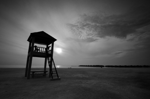 Lifeguard