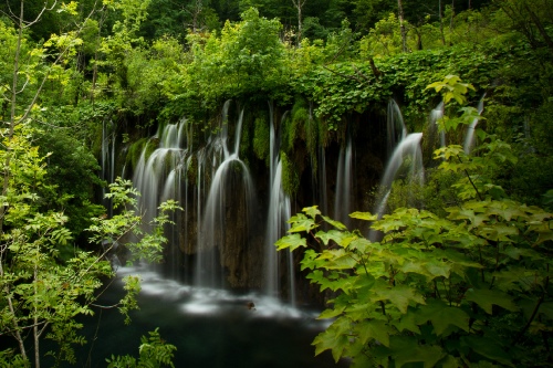 Nature's Fountain