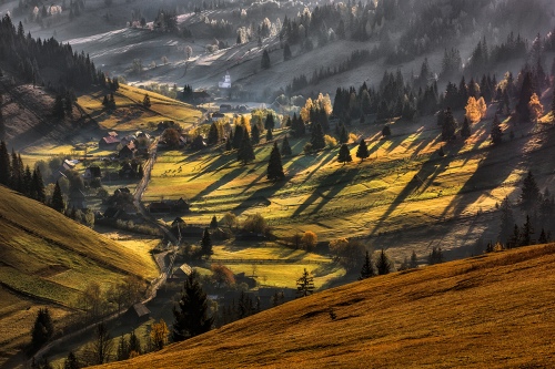 First rays