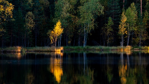 Autumn morning