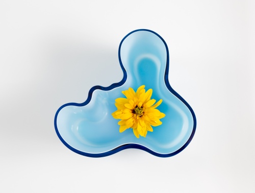 Flower and vase