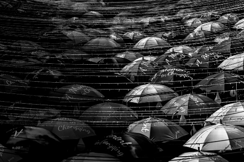 Umbrella Sea