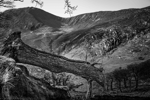 Cwm Ceunant