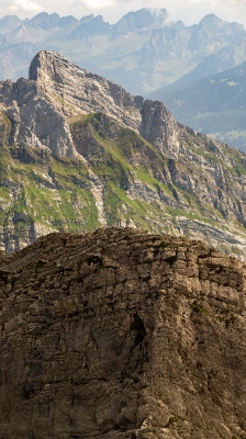 tony@greatorme.com