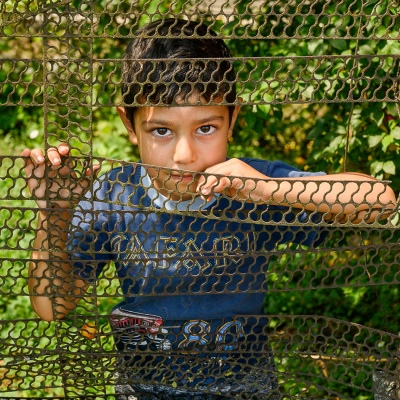 Safari Boy: 