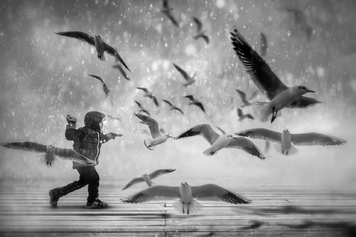 Freedom