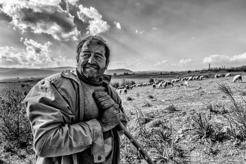 The Shepherd