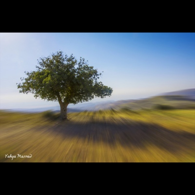 Yahya Massad