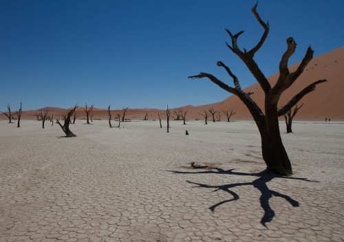 deserted