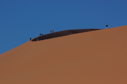 Dune top