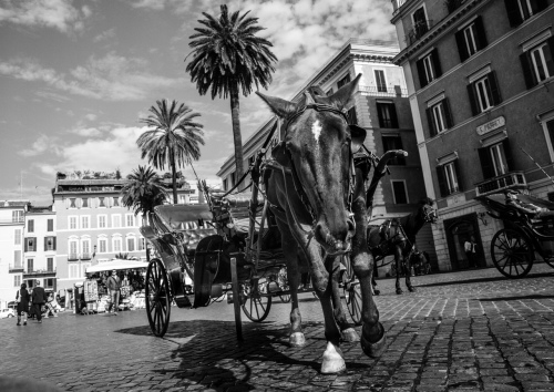 roman travel