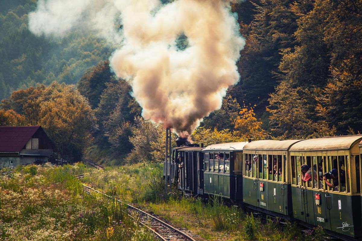 Mocanita train Photo by Najat Alfarasani