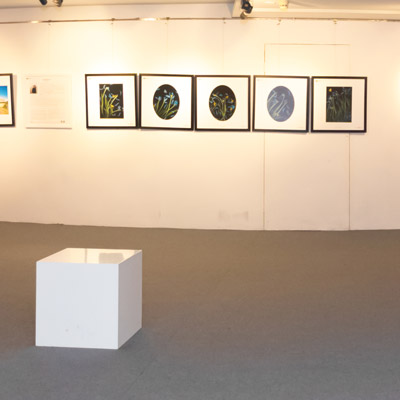 3rd edition of "View Appreciate" Exhibitions