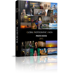 Download the GPU Photobook for the year 2015.